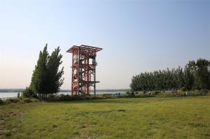 登高观鸟